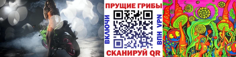 мориарти официальный сайт  Вихоревка  Псилоцибиновые грибы Psilocybine cubensis 
